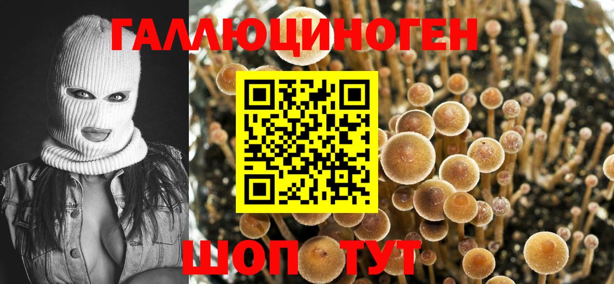 Галлюциногенные грибы мухоморы  Вход с VPN  Рубцовск  Псилоцибиновые грибы прущие грибы 