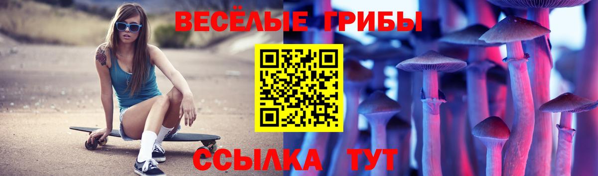 Псилоцибиновые грибы прущие грибы Рубцовск